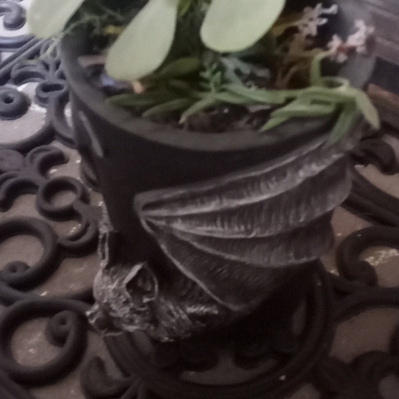 Goth batty planter box - Picture 3 of 3